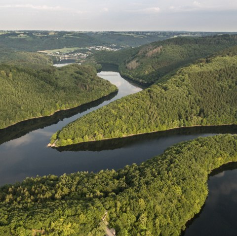 Die Wandertour Wasserlandroute f&uuml;hrt immer am Wasser entlang, &copy; Eifel Tourismus GmbH/D. Ketz