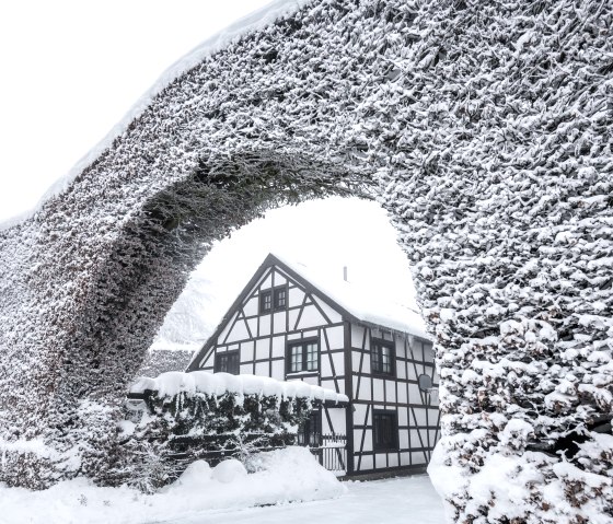 Monschau hedgerow landscape in winter, &copy; Eifel Tourismus GmbH | Dominik Ketz