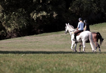 reiten, &copy; Nordeifel Tourismus Gmbh