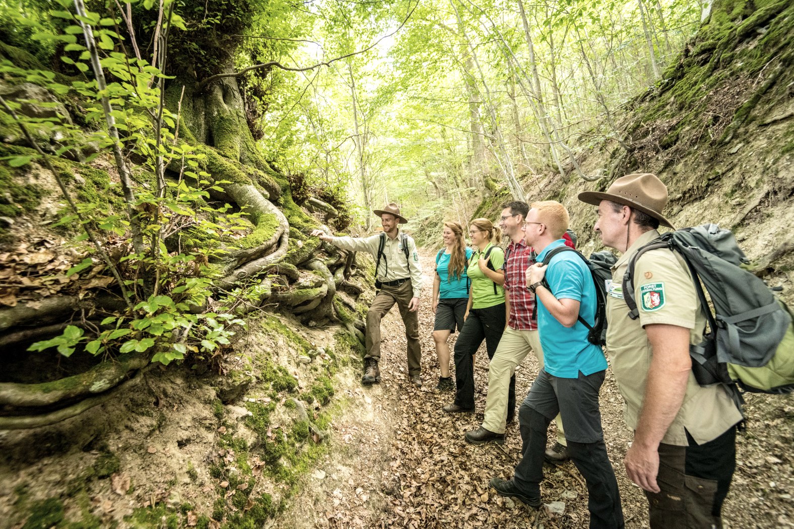 Nationalpark Eifel, &copy; Nationalpark Eifel