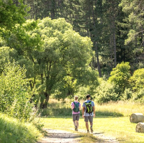 Hiking in the Northern Eifel, &copy; Eifel Tourismus GmbH - Dominik Ketz