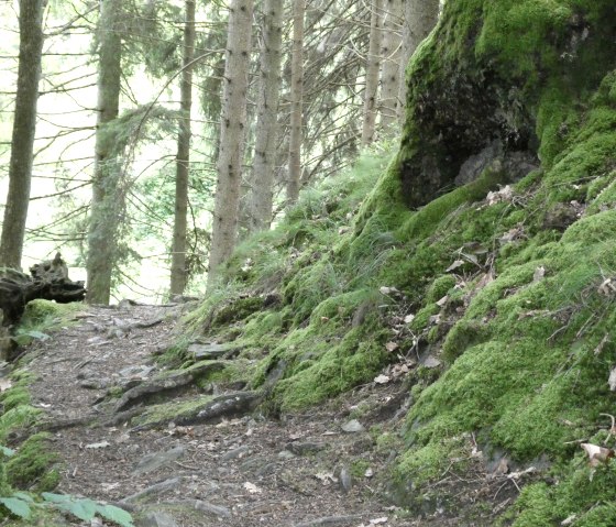 Wanderpfad, &copy; Eifel heimisch