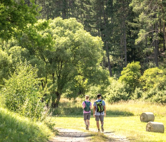 Gef&uuml;hrte Wanderung, &copy; Eifel Tourismus GmbH - Dominik Ketz