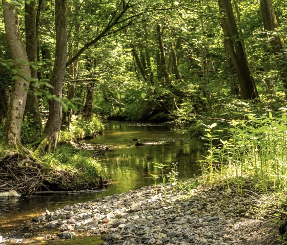 Vichtbachtal, &copy; St&auml;dteregion Aachen, Dominik Ketz