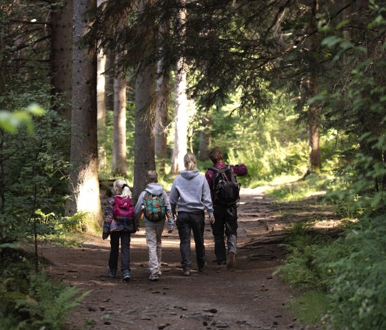 Familie im Wald, &copy; eifel-tourismus-gmbh_tobias-vollmer