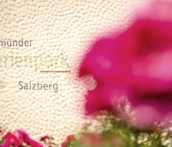 Ferienpark Salzberg-2022-029, &copy; Nordeifel Tourismus GmbH & Gem&uuml;nder Ferienpark Salzberg