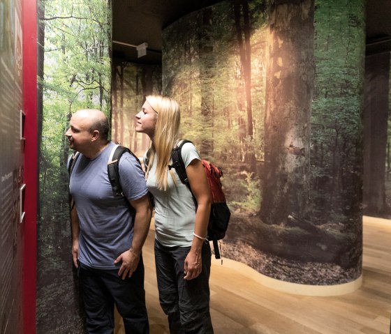 Heimbach Nationalpark-Tor, &copy; Eifel Tourismus GmbH, AR-shapefruit AG