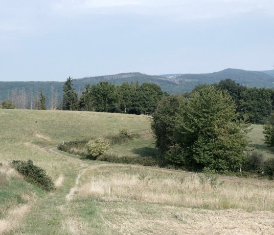 Wide View, &copy; Eifel heimisch
