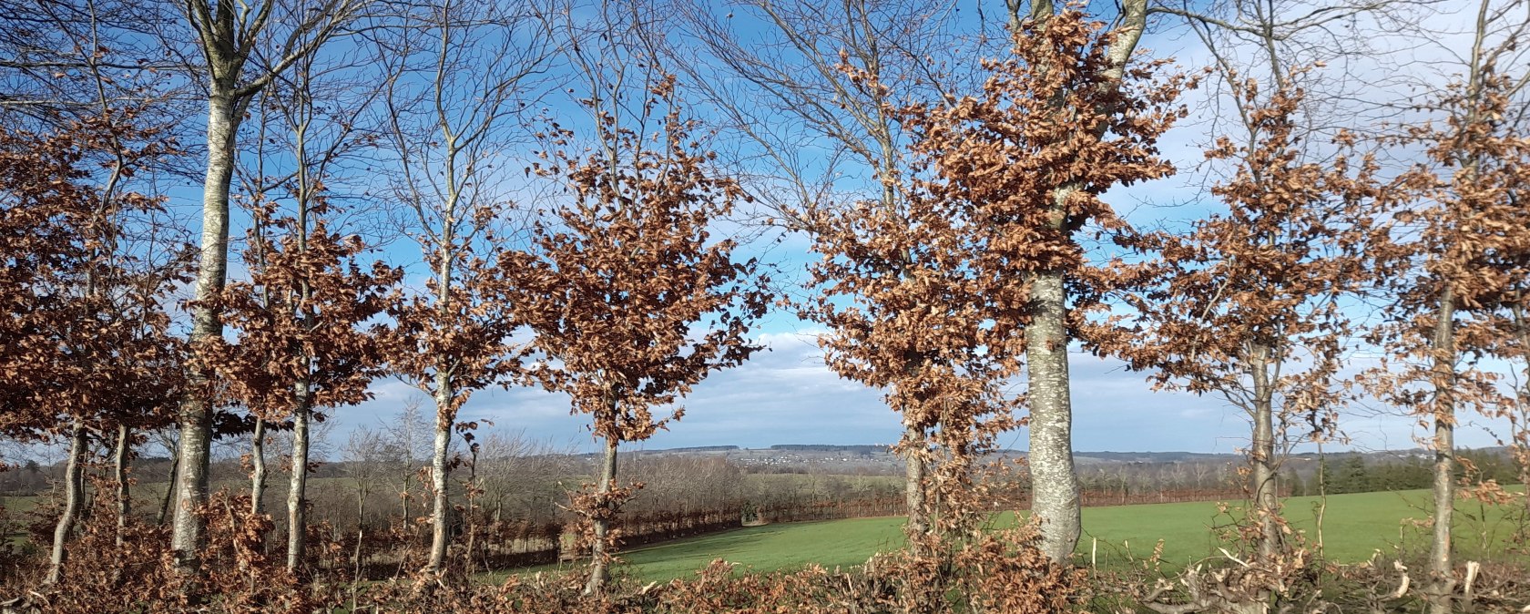 Monschauer Heckenland, &copy; Maria A. Pfeifer