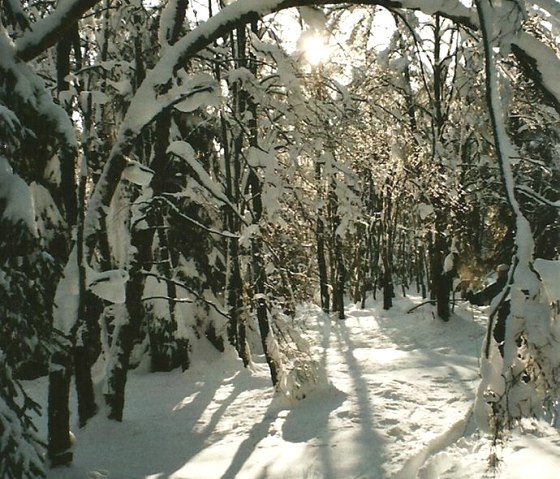 Winter Oberer Steg, &copy; Wolfgang Weber