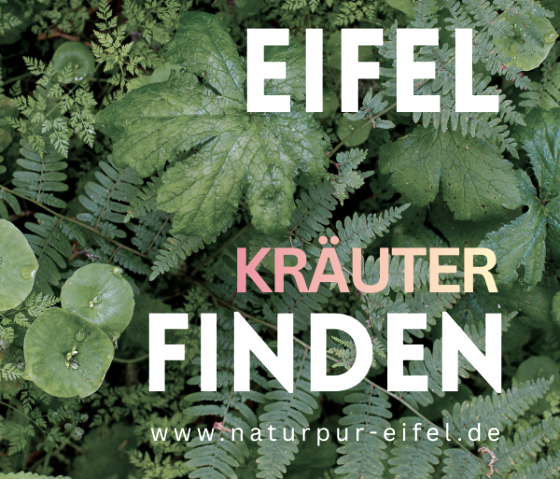 K&auml;ruter finden, &copy; Natur Pur Eifel