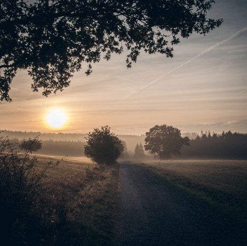 Schöpfungspfad, © Nationalparkseelsorge