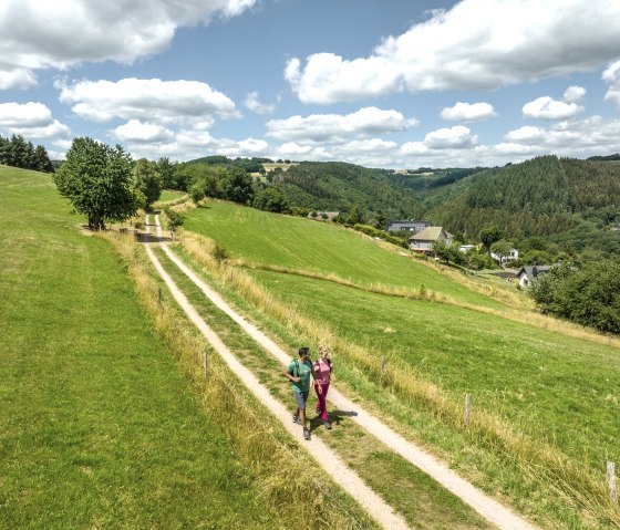 Eifelsteig-Wanderweg entlang von Wiesen und Feldern bei Dedenborn, © Eifel Tourismus GmbH, Dominik Ketz