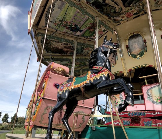 Carousel, &copy; Toni Schleifer