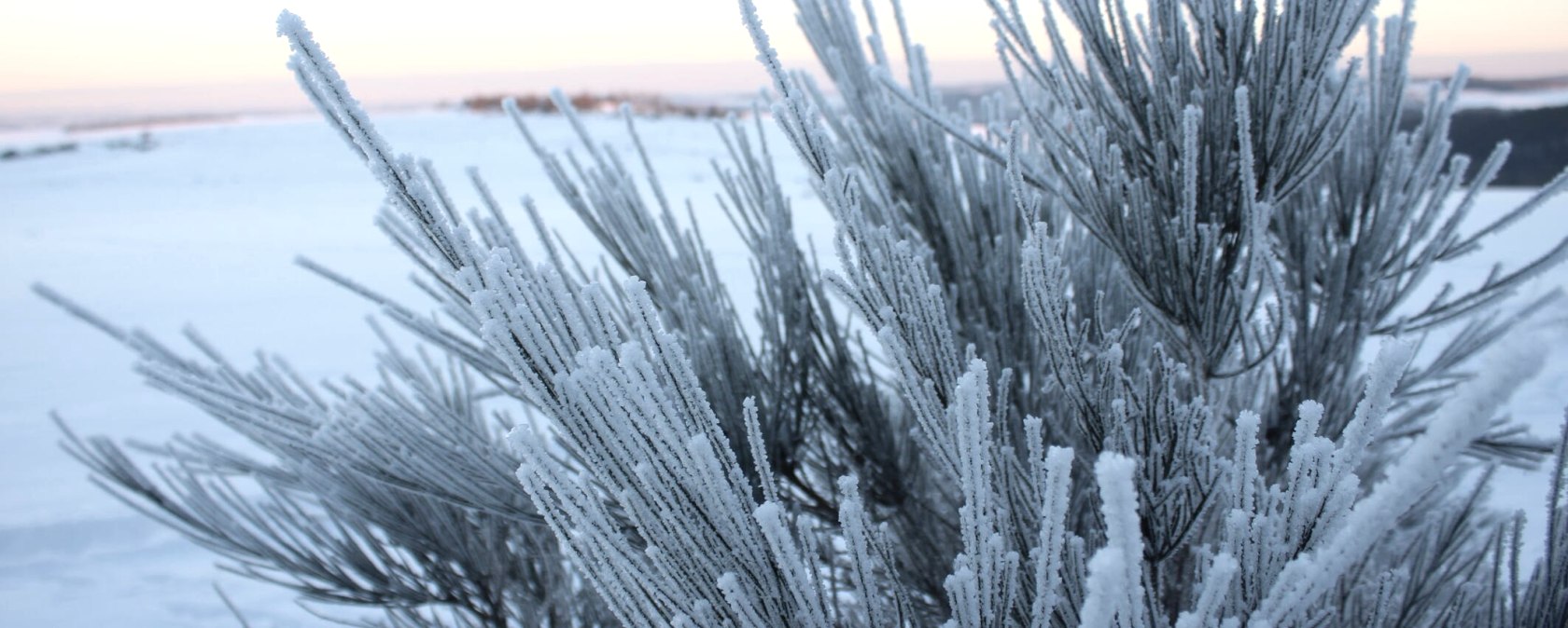 Schnee auf der Dreiborner Hochfläche, © M. Menninghaus