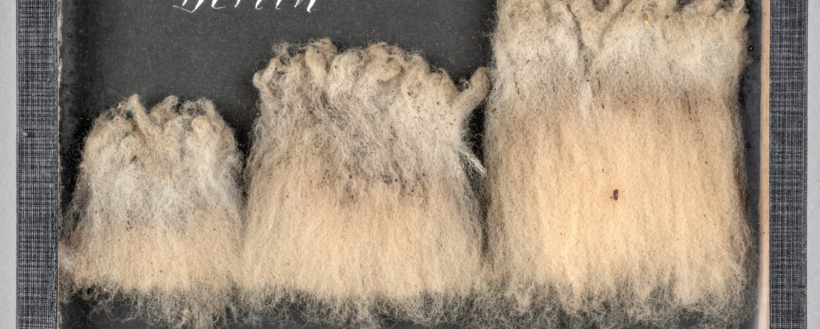 Wollproben der Deutschen Wollgesellschaft, 1919, &copy; LVR-Industriemuseum