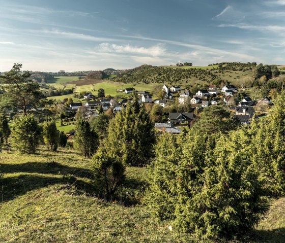 Wacholder auf dem Kalavrienberg, &copy; Eifel Tourismus GmbH, D. Ketz