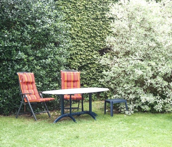 Garten, &copy; Juliane Paustenbach