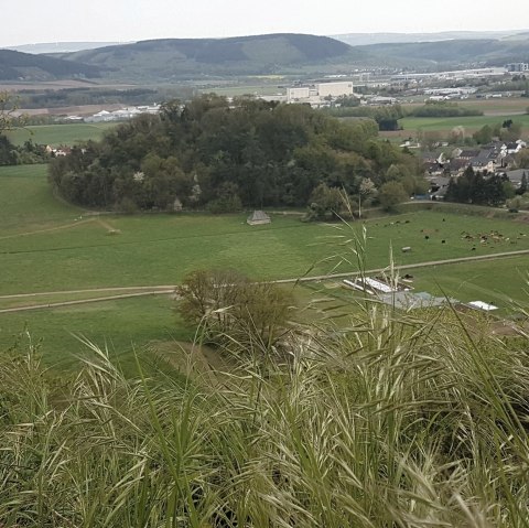 L&uuml;xeberg, &copy; Tourist Information Wittlich Stadt & Land