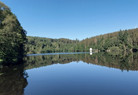 Kalltalsperre Juni-August (co) Thei&szlig;en-Braun
