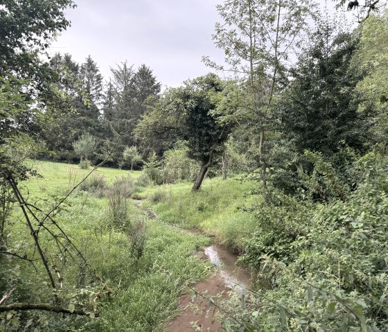 IMG_7673, &copy; Rureifel-Tourismus e.V., Dennis Winands