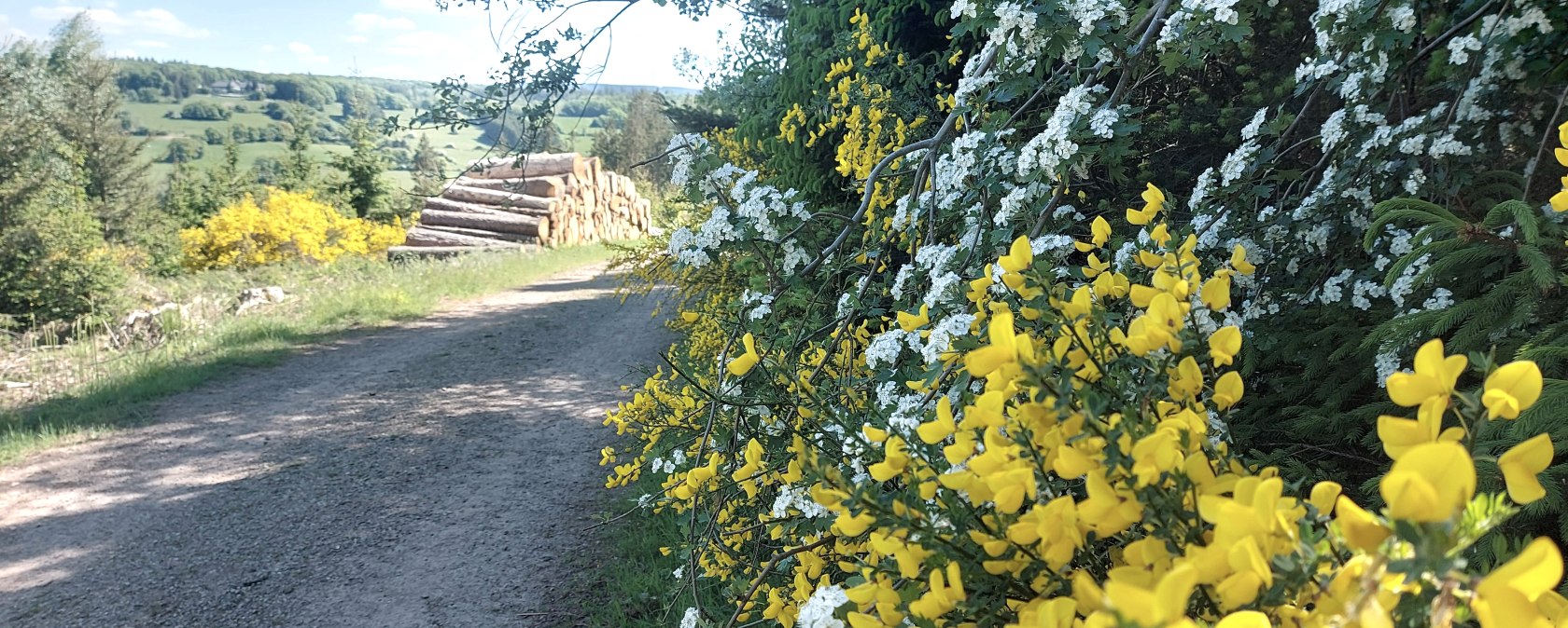 Fr&uuml;hling Aussicht (co) Thei&szlig;en-Braun