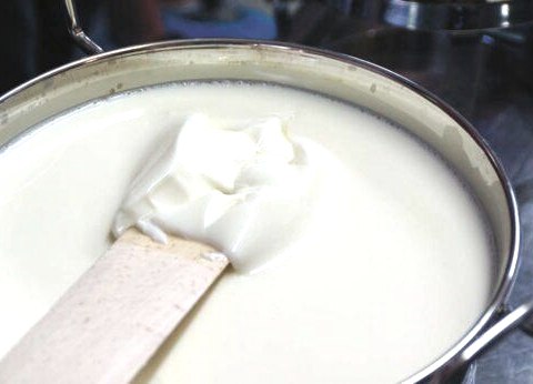 Cheese school, © Haus Bollheim Handels GmbH & Co. KG