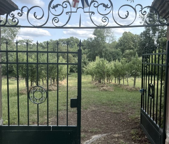 Obstgarten, &copy; Nordeifel Tourismus GmbH & L&acute;Extravagante