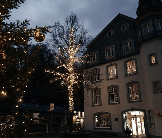 Richterseck, &copy; Monschau-Touristik GmbH, Heike Becker