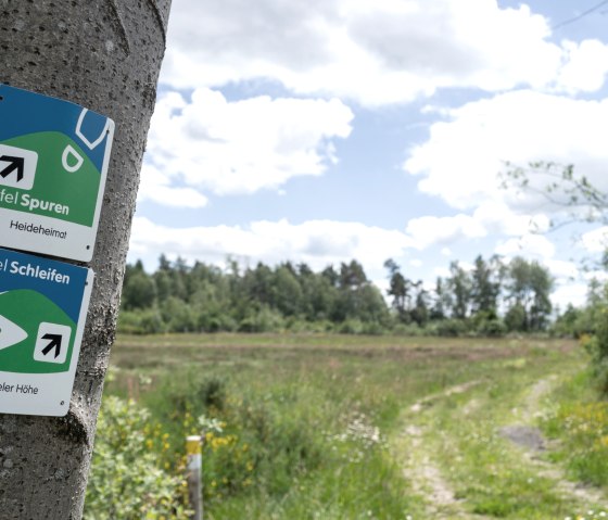 Signpost for Eifel trails and Eifel loops on a tree. In the background a path and a green meadow under a blue sky with clouds., © Nordeifel Tourismus GmbH