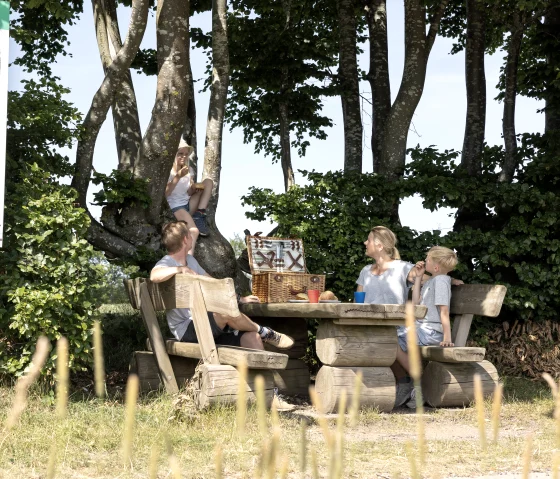 Rastplatz an der Heckenlandroute, &copy; Eifel Tourismus GmbH, Tobias Vollmer