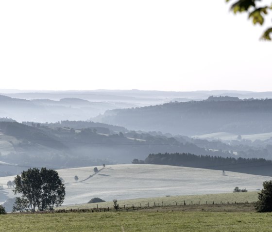 Sanfte H&uuml;gel der Eifel im Morgennebel, mit B&auml;umen und Wiesen, die eine ruhige Landschaft bilden., &copy; Nordeifel Tourismus GmbH