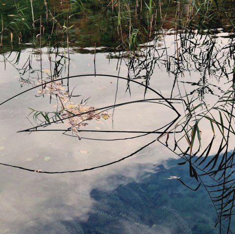 Ausstellung "Die 4 Elemente", &copy; Barbara Tegethoff