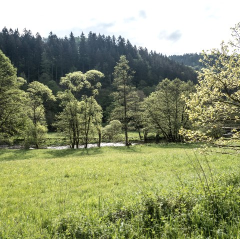 Ruraue, &copy; Dominik Ketz, St&auml;dteregion Aachen