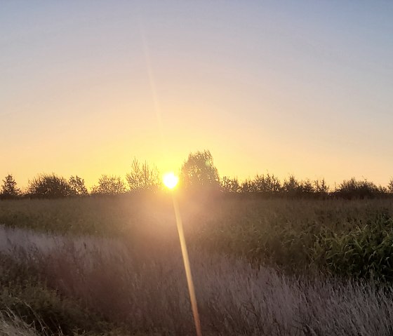 20211022_082154, &copy; Annette Rosen-Roevenich & Nordeifel Tourismus GmbH