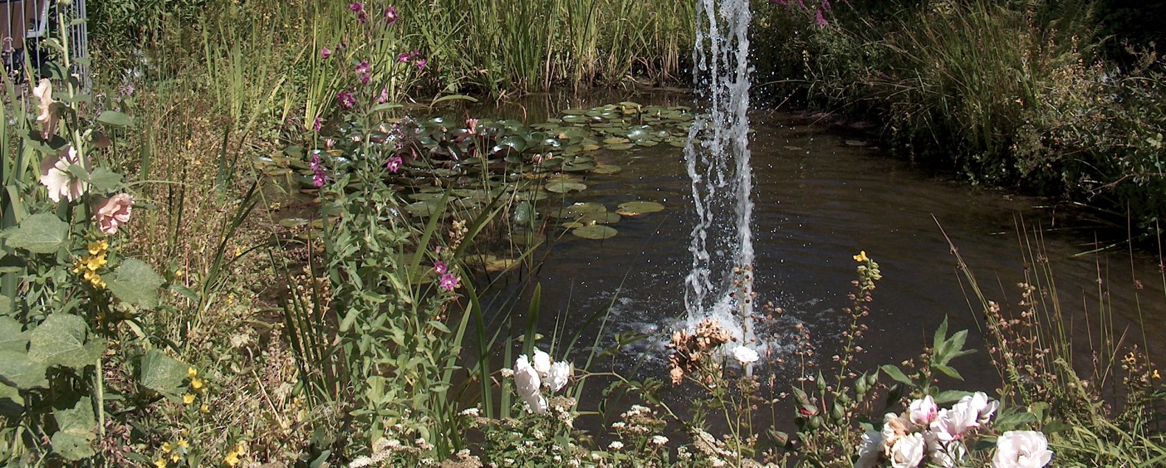 Small pond landscape in the middle of Imgenbroich, &copy; Monschau-Touristik