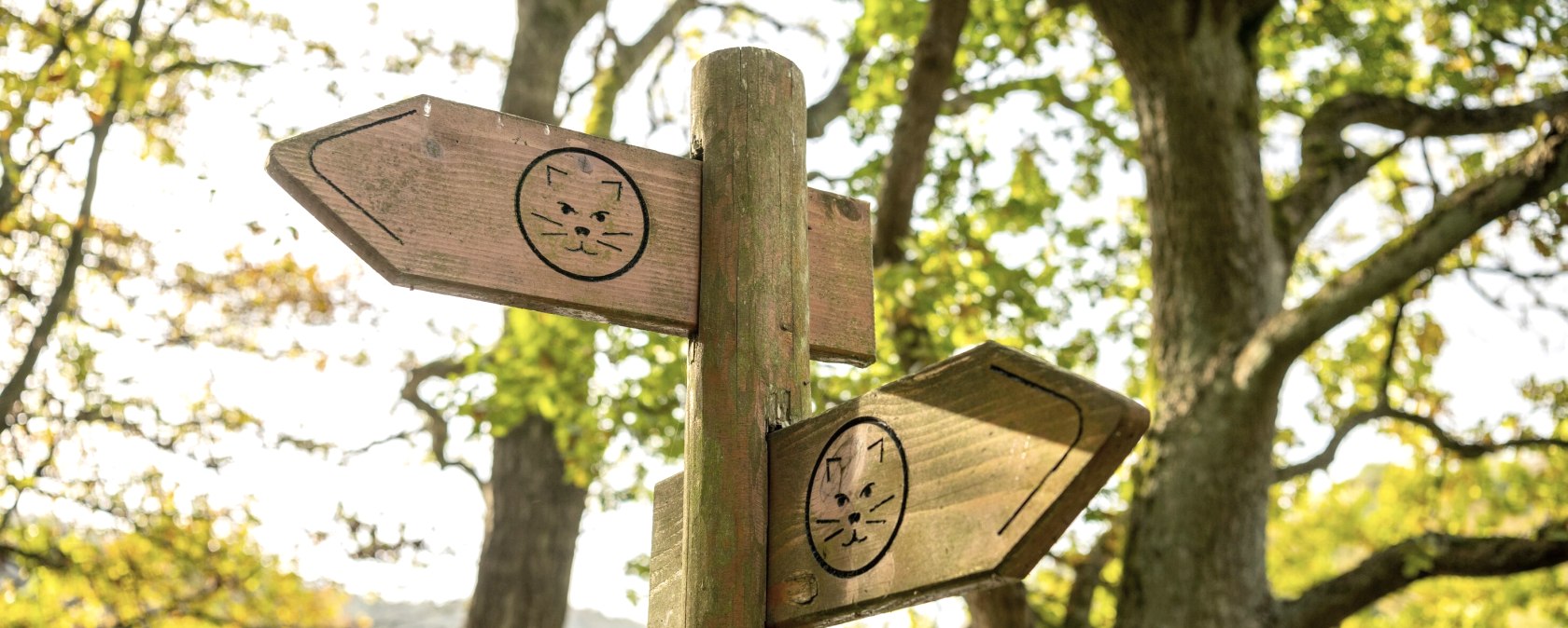 Signpost