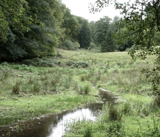 Kalltal, &copy; Eifel heimisch