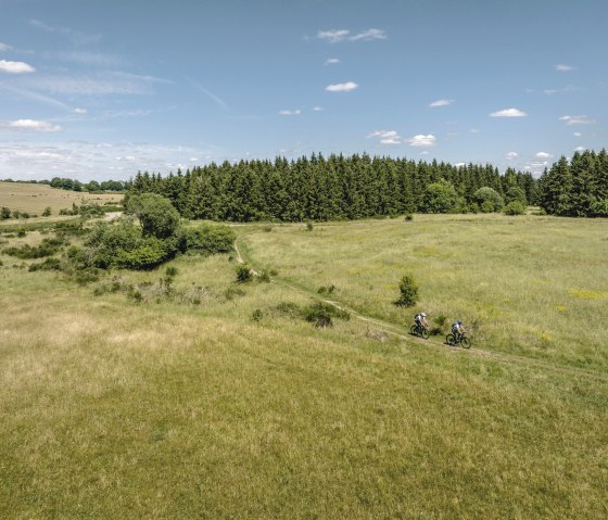 View of the wide Dreiborn plateau, &copy; Eifel Tourismus, Dennis Stratmann