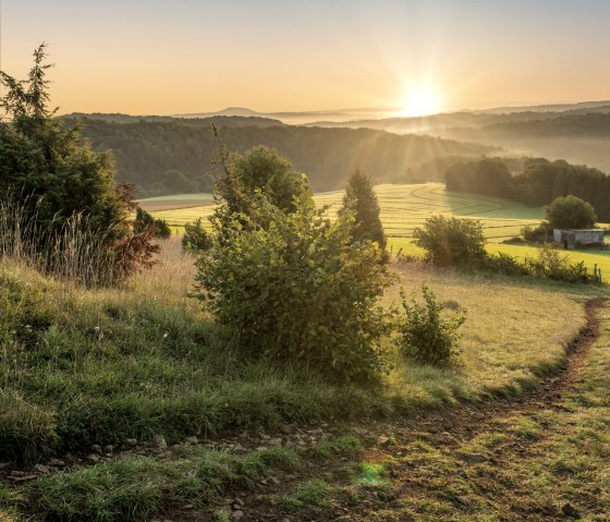 Sonnenuntergang &uuml;ber einer gr&uuml;nen Landschaft in der Eifel. Ein Pfad f&uuml;hrt durch Wiesen, umgeben von B&auml;umen und H&uuml;geln im Hintergrund., &copy; Paul Meixner