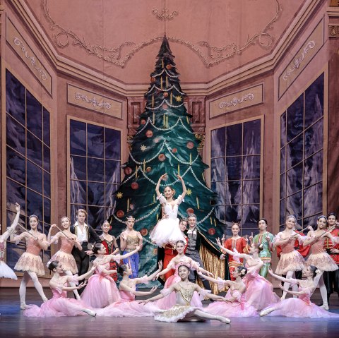 Der Nussknacker, &copy; MTSM