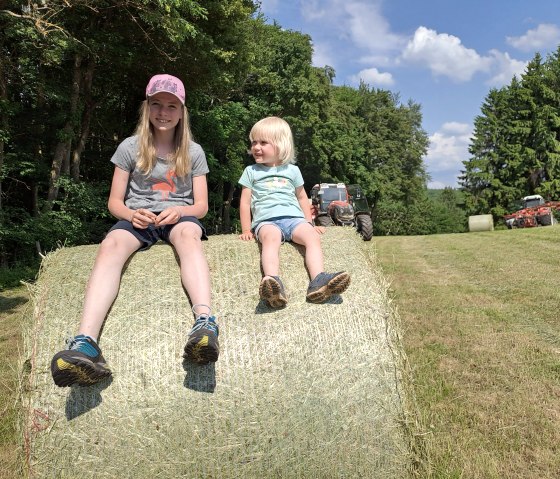 Vacations at the Hoffmann-Hof, © Nordeifel Tourismus GmbH & Hoffmann-Hof