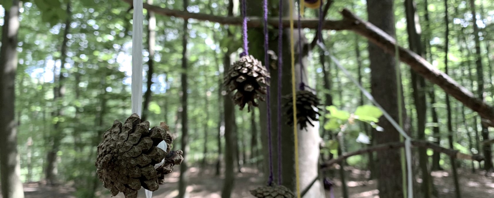 Waldspielgrupp, &copy; JacQui Khonnguluam