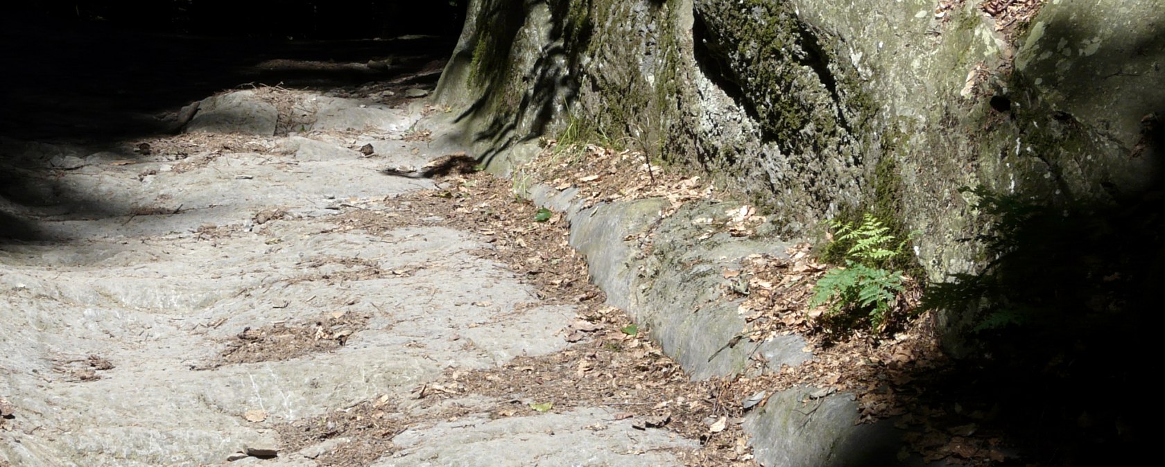 Rock, &copy; Monschau-Touristik