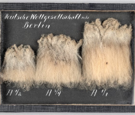 Wool Samples from the German Wool Association, 1919, &copy; LVR-Industriemuseum