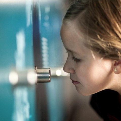 Kind an der Duftwand, © LVR-ZMBD. Schmitz