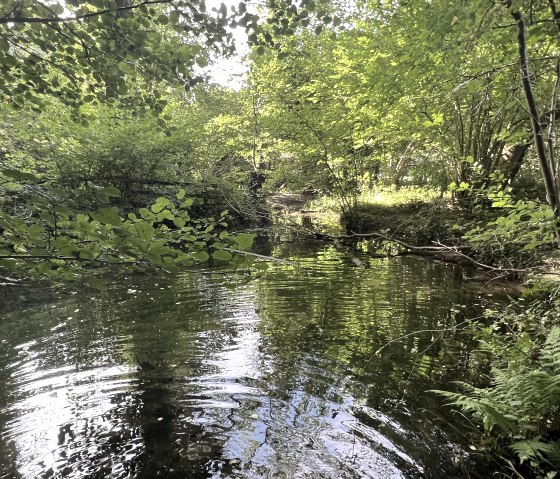 IMG_3350, &copy; Rureifel-Tourismus e.V., Michelle Wiesen