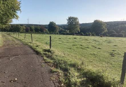 Weg Wiesen Lammersdorf September (co) Thei&szlig;en-Brau