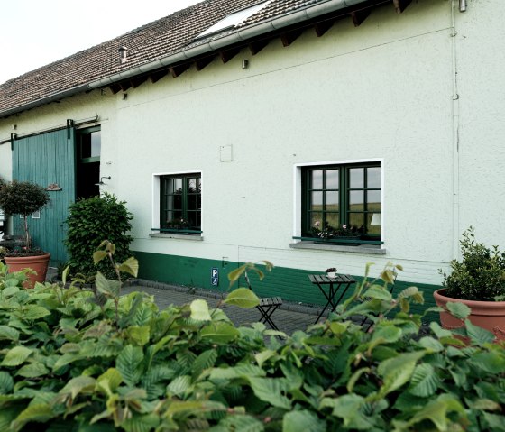 Blick ins Grüne