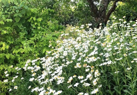 Blumen